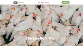 Thumbnail of chickenroadionlidkf.com