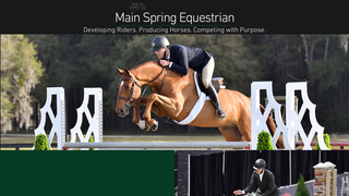 Thumbnail of mainspringeq.com
