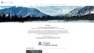 Thumbnail of petrullolab.com