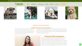Thumbnail of perfacthomechampion.com