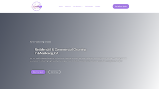 Thumbnail of aurorascleanservices.com