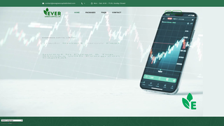 Thumbnail of evergreencapitallimited.com