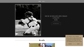 Thumbnail of schiller17.com