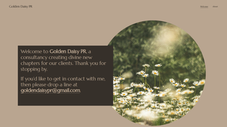 Thumbnail of goldendaisypr.com