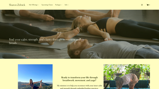 Thumbnail of sharonzelnick.com