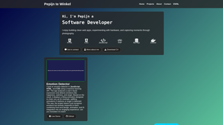 Thumbnail of pepijntw.com