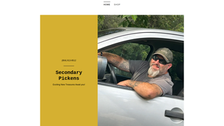 Thumbnail of secondarypickens.com