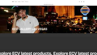Thumbnail of ecvgallery.com