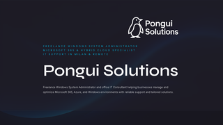 Thumbnail of ponguisolutions.com