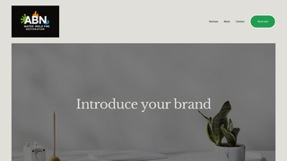Thumbnail of abnrestorationassessors.com