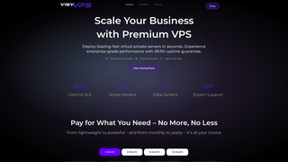 Thumbnail of visyvps.com