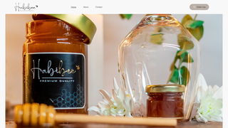 Thumbnail of habibeestore.com