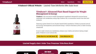 Thumbnail of vittaburnusa.com