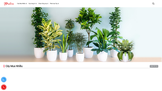 Thumbnail of caycanhgiare.com