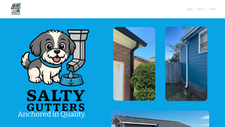Thumbnail of saltygutters.com
