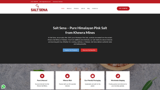 Thumbnail of saltsena.com