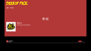 Thumbnail of beenuppros.com