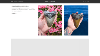 Thumbnail of totosfossils.com