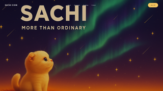 Thumbnail of sachicoin.com