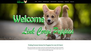 Thumbnail of linkcorgipuppies.com