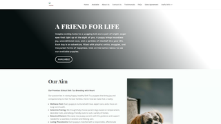 Thumbnail of sweetlovebond.com