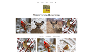 Thumbnail of iizunadesign.com