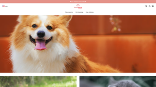 Thumbnail of amazedaze.com