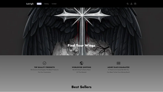 Thumbnail of leirigh.com