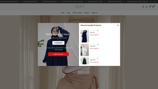 Thumbnail of danmodestwear.com