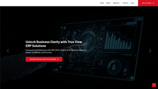 Thumbnail of trueviewerp.com