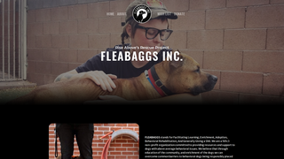 Thumbnail of fleabaggsinc.org