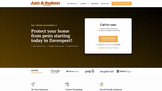 Thumbnail of antsrodentsdavenport.com