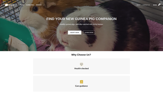 Thumbnail of guineapigadoptions.com