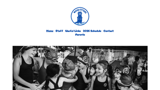 Thumbnail of waterottersswim.com