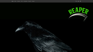 Thumbnail of stylishgrim.com