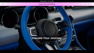 Thumbnail of cozycarchauffeur.com