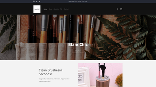 Thumbnail of blancchic.com