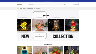 Thumbnail of reefgleamdesigns.com