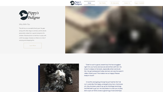Thumbnail of pippyspedigree.com