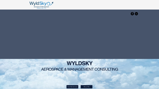 Thumbnail of wyldsky-consulting.com