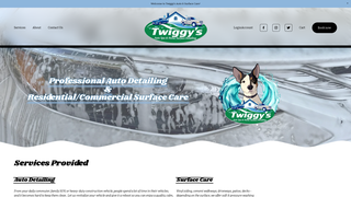 Thumbnail of twiggysri.com