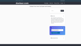 Thumbnail of doelaur.com