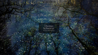 Thumbnail of thomasschwarze.com
