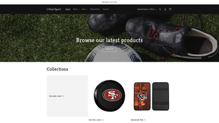 Thumbnail of ifindsports.com
