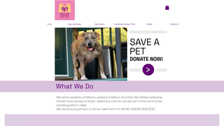 Thumbnail of maconmovesanimalcare.com