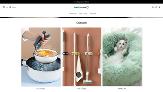 Thumbnail of establish-create.com
