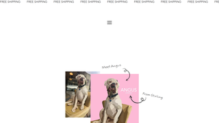 Thumbnail of furandhue.com