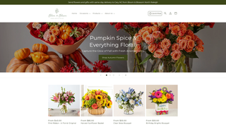 Thumbnail of bloomblossomnorthraleigh.com