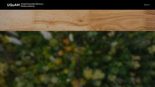 Thumbnail of uquam.org