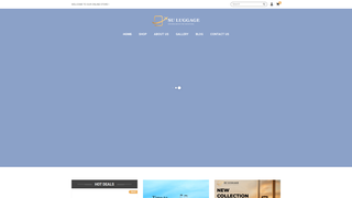 Thumbnail of suluggage.com
